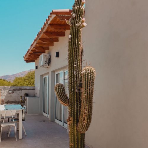 casa2-fotos-diciembre2024 (4)